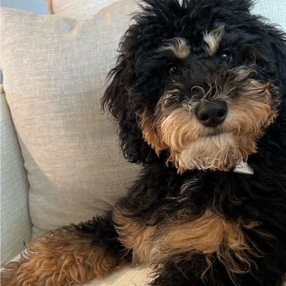 t h x  f o r  s t o p p i n g  b y - Picture 7 of 8